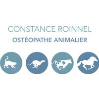 osteopathe animalier